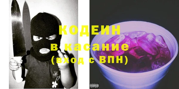 прущие грибы Абаза