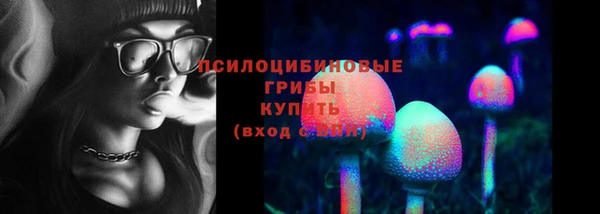 прущие грибы Абаза