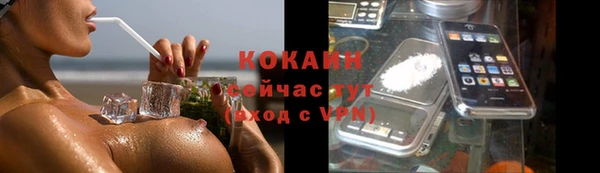 прущие грибы Абаза
