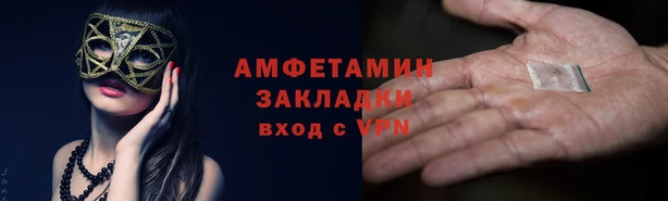 прущие грибы Абаза