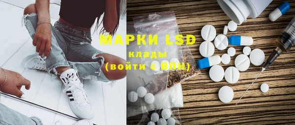 прущие грибы Абаза