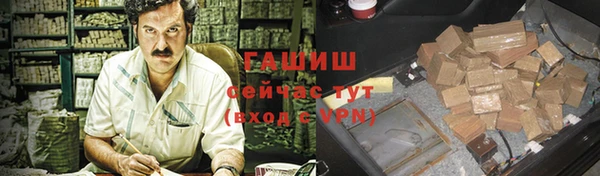 прущие грибы Абаза